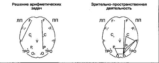 Мозговая организация речи - student2.ru