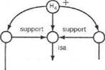 Must rjol toucfi - student2.ru