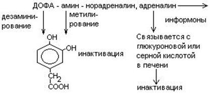 Обмен глицина и серина - student2.ru