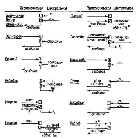 пеисмекбры и доминантные очаги - student2.ru