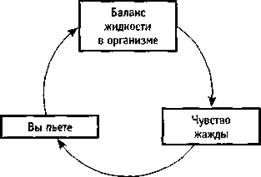 Петли обратной связи — сущность систем - student2.ru