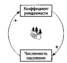 Правила построения системных моделей - student2.ru