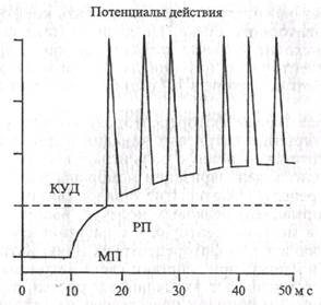 Рефлекторный принцип нервной регуляции функции организма - student2.ru