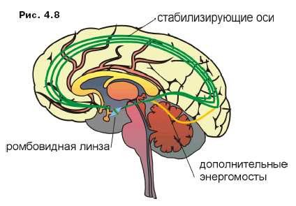 регулирование мозжечком арсенальных процессов - student2.ru