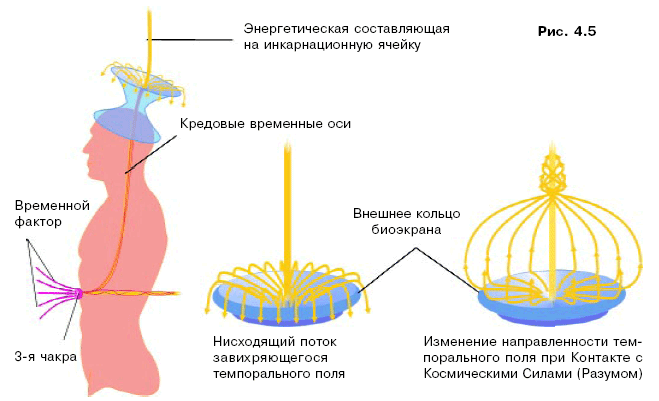 регулирование мозжечком гомеостаза и энергетики организма - student2.ru