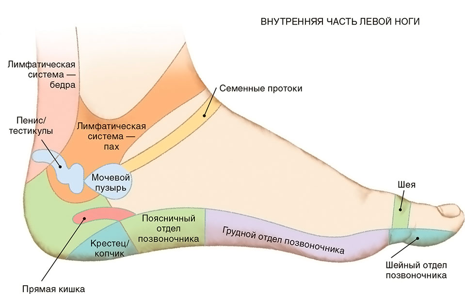 Рейки: получение универсальной жизненной энергии по каналам - student2.ru