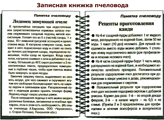 Статья №5 Какое влияние окажет на развитие пчелиной семьи недостаток белкового корма? - student2.ru