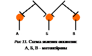 Второй уровень интеграции – нейронные сети - student2.ru