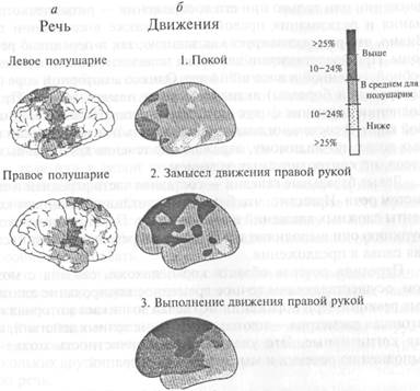 взаимодействие первой и второй сигнальных систем - student2.ru