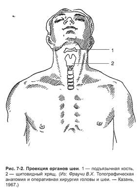 Анатомо-физиологические основы дыхательной системы - student2.ru