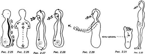 Циркуляция ци по всему телу - student2.ru