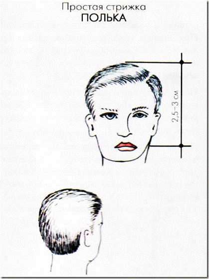 Характеристика основных зон головы - student2.ru