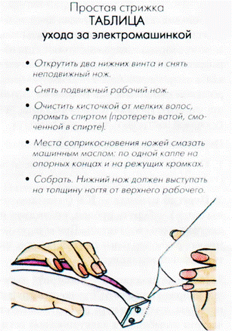 Характеристика основных зон головы - student2.ru