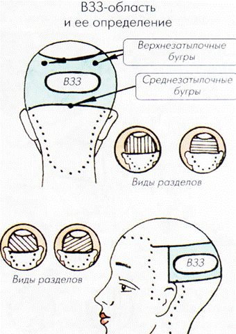 Характеристика основных зон головы - student2.ru