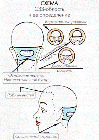 Характеристика основных зон головы - student2.ru