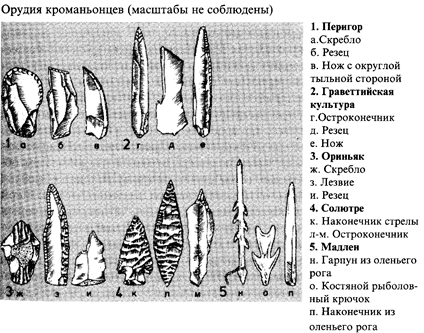 Материальная культура и социальные отношения - student2.ru