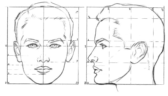 пропорции головы мальчика-подростка - student2.ru