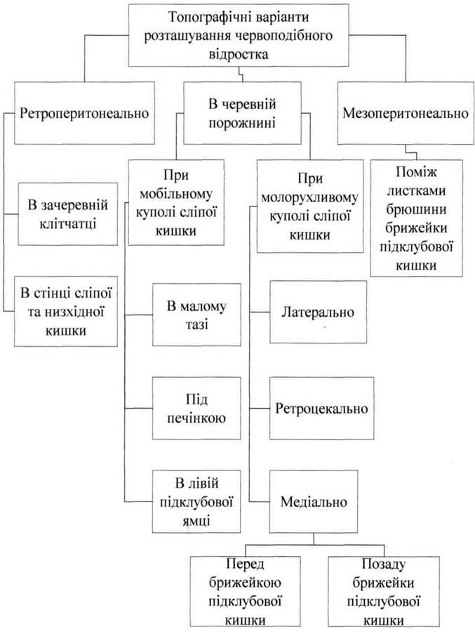 Анатомо-фізіологічні дані червоподібного відростка. - student2.ru