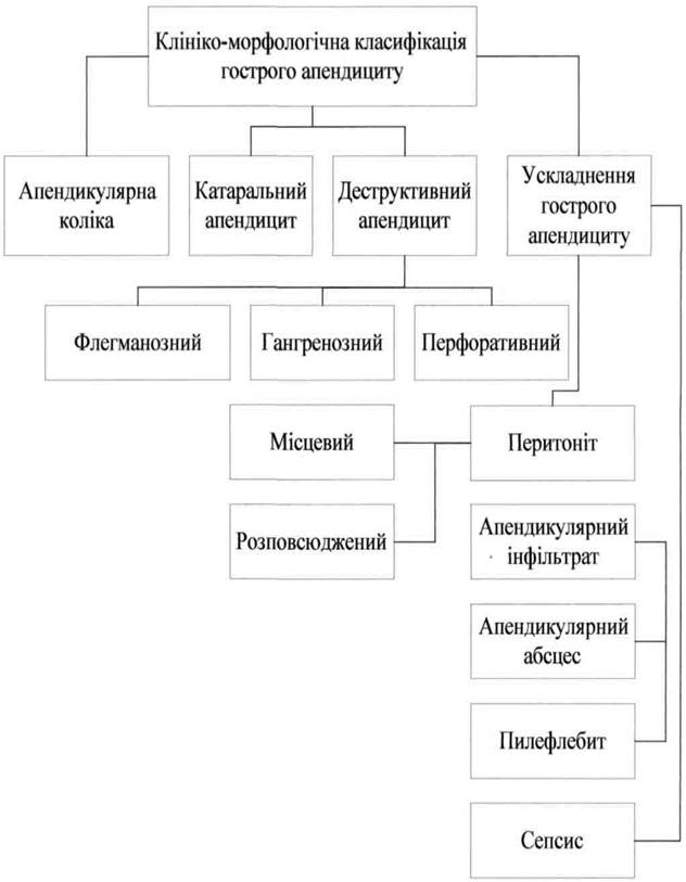 Анатомо-фізіологічні дані червоподібного відростка. - student2.ru