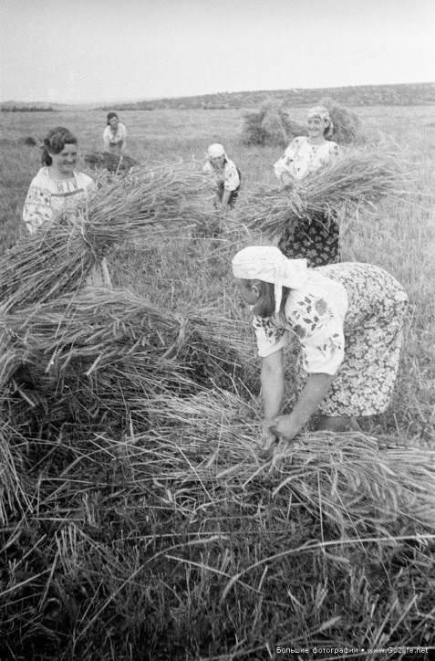 початок – середина 1950-х років. Фото Семена Фрідлянда - student2.ru