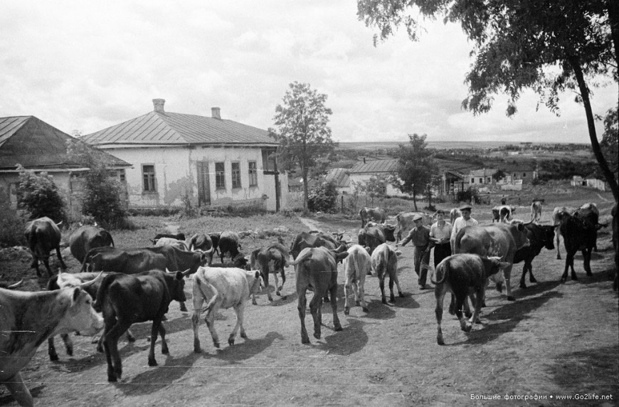 початок – середина 1950-х років. Фото Семена Фрідлянда - student2.ru