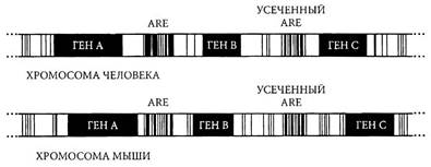 Проблема определения критериев человечности: «кто есть человек?». - student2.ru