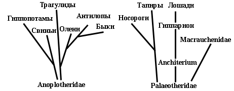 происхождение и эволюция млекопитающихся; наука и эзотерический филогенезис - student2.ru