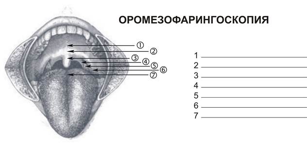 Вестибулометрия (вестибулярный паспорт) - student2.ru