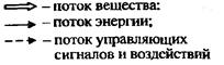 Закон согласования ритмики частей системы - student2.ru