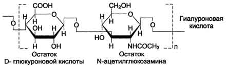 А. Строение и классы гликозаминогликатов - student2.ru