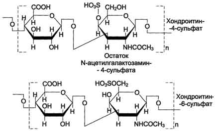 А. Строение и классы гликозаминогликатов - student2.ru
