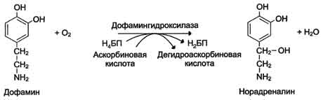 Абсолютная субстратная специфичность - student2.ru