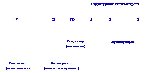 Активация и рекогниция аминокислоты. - student2.ru