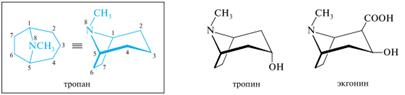 Алкалоиды: группа тропана (атропин, кокаин) – строение, основные свойства, характеристика реакционной способности - student2.ru