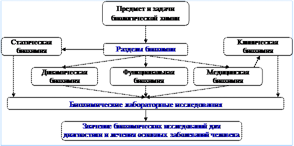 аминокислоты. пептиды. белки - student2.ru