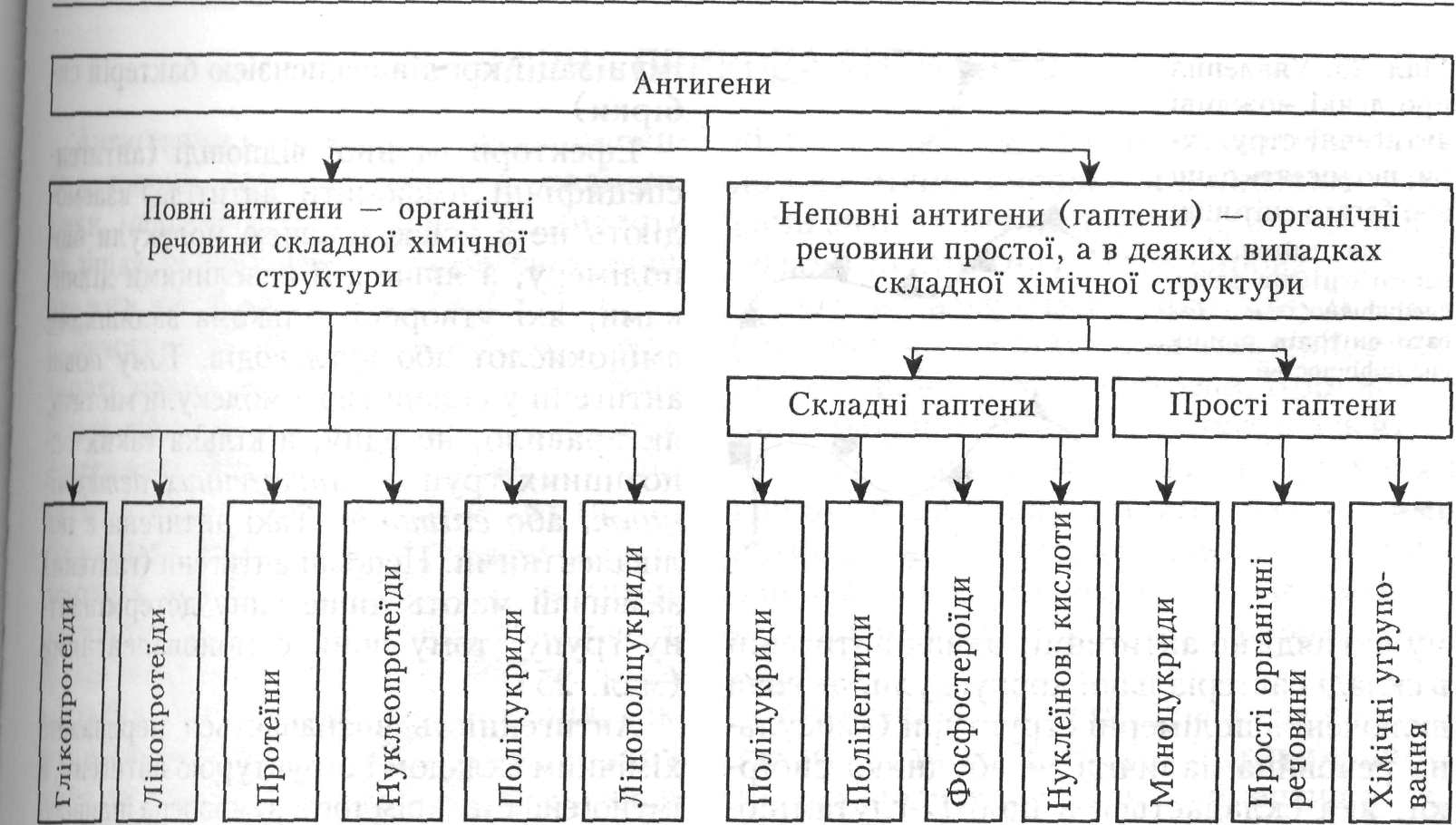 антигени - student2.ru