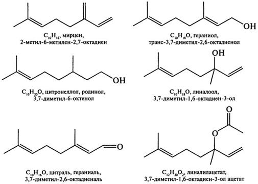 ароматизаторы - student2.ru