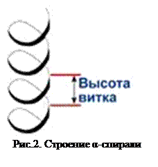 аспарагиновая кислота (асп) - student2.ru