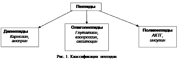 аспарагиновая кислота (асп) - student2.ru