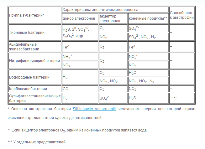 Аэробные хемолитотрофные бактерии - student2.ru
