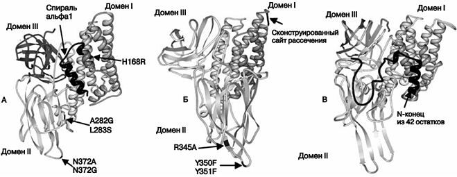 Повышение поражающего действия токсинов - student2.ru