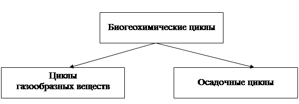 Биогеохимический круговорот атомов - student2.ru