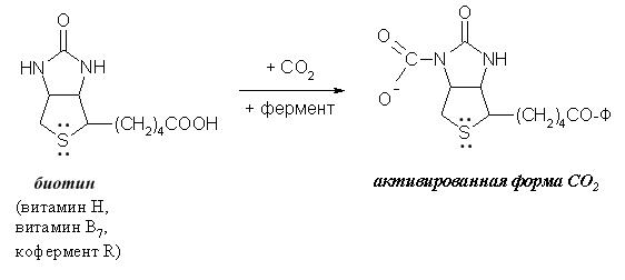 Биологически важны гетероциклические системы - student2.ru