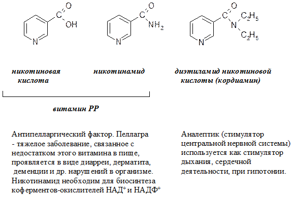 Биологически важны гетероциклические системы - student2.ru