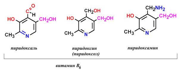 Биологически важны гетероциклические системы - student2.ru