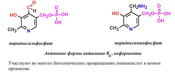 Биологически важны гетероциклические системы - student2.ru