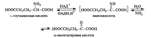 Биологически важные химические реакции - student2.ru