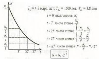 Биологическое действие излучения - student2.ru