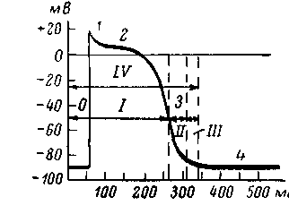 Быстрая деполяризация и реверсия - student2.ru