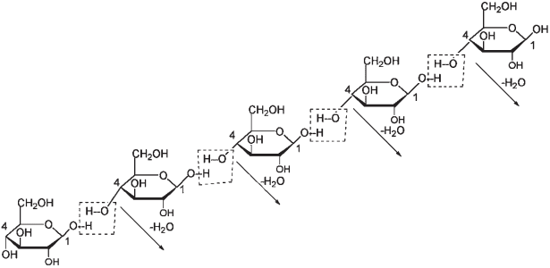 Целлюлоза — структурный полисахарид - student2.ru